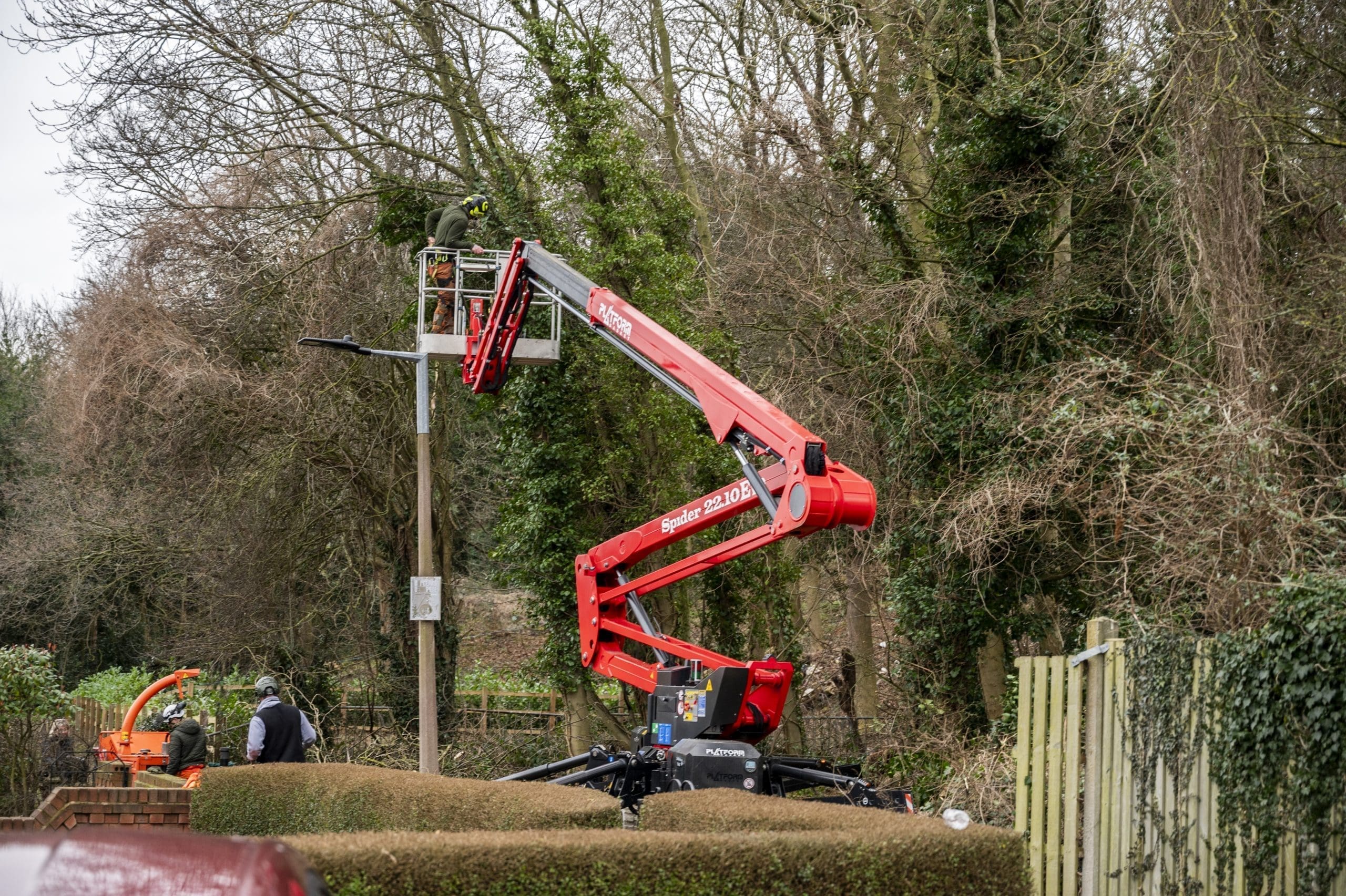 Aborist Spider Platform Hire